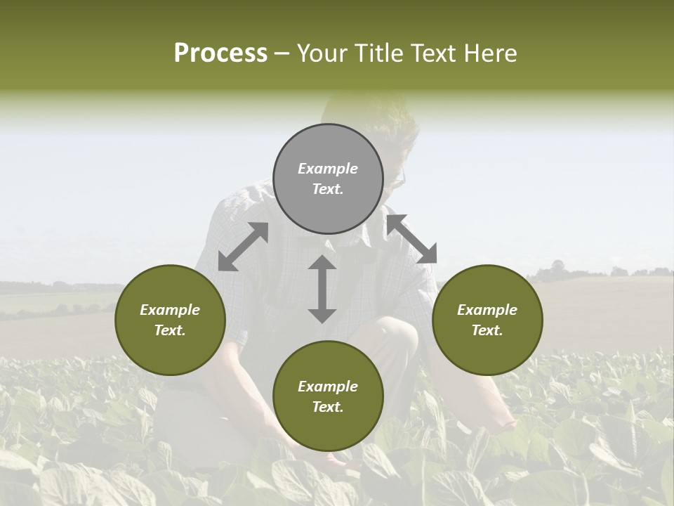 Fresh Male Plant PowerPoint Template