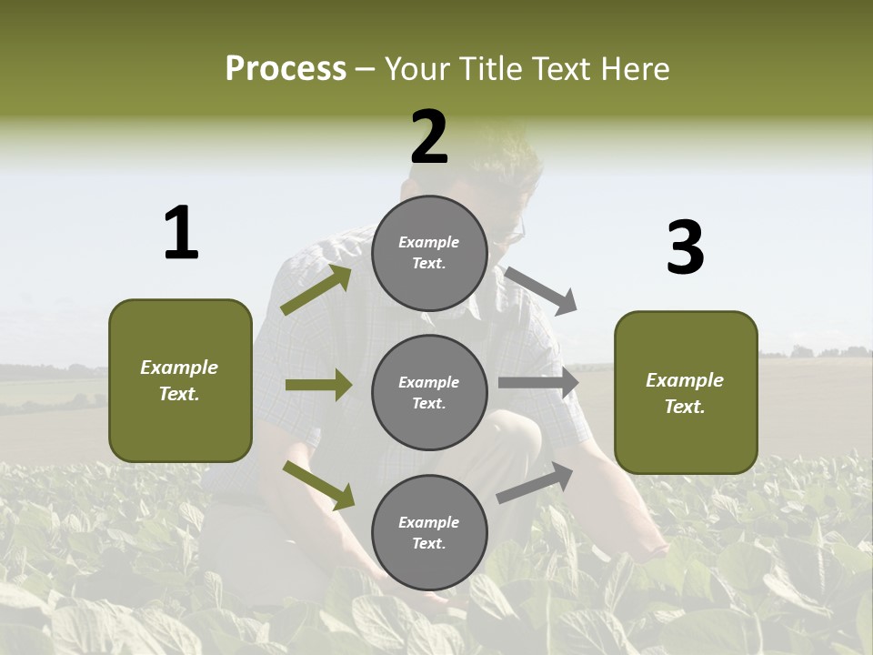 Fresh Male Plant PowerPoint Template