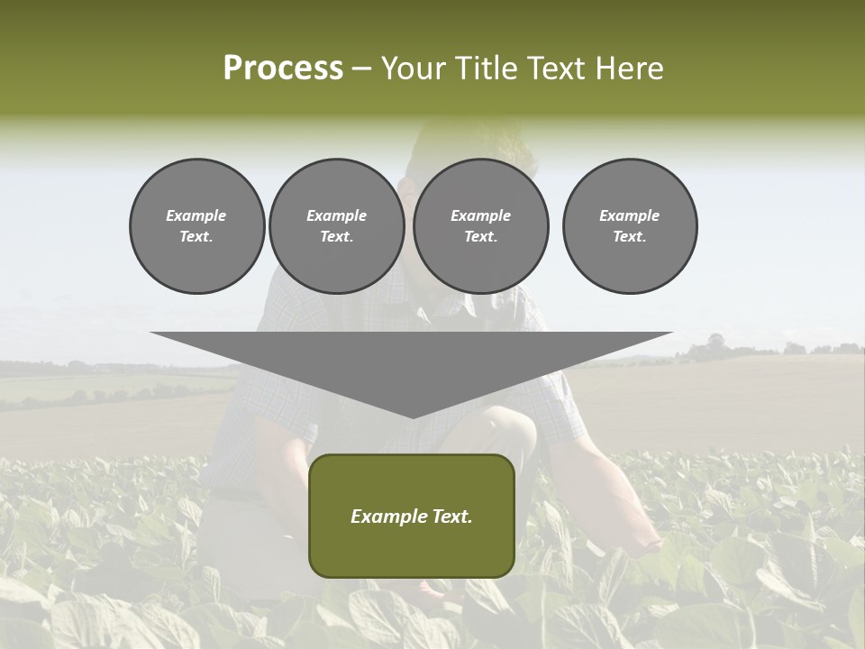 Fresh Male Plant PowerPoint Template