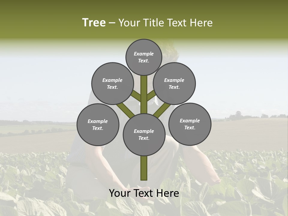 Fresh Male Plant PowerPoint Template