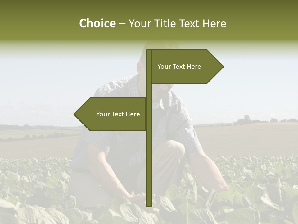 Fresh Male Plant PowerPoint Template