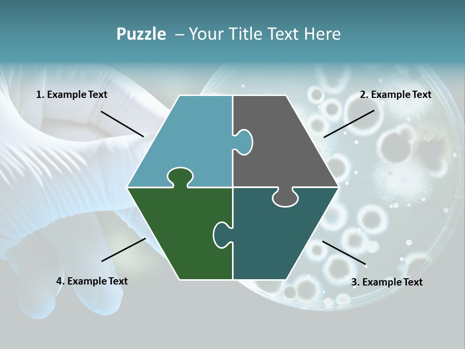 Laboratory Organism Medicine PowerPoint Template