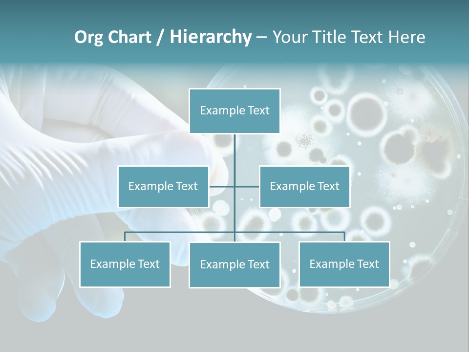 Laboratory Organism Medicine PowerPoint Template