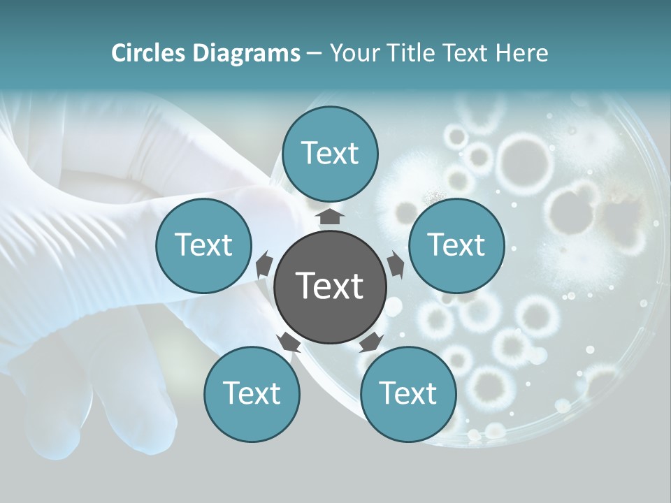 Laboratory Organism Medicine PowerPoint Template