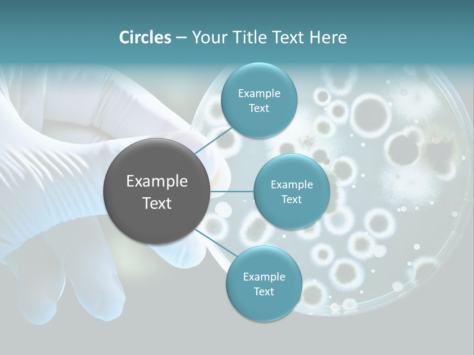 Laboratory Organism Medicine PowerPoint Template
