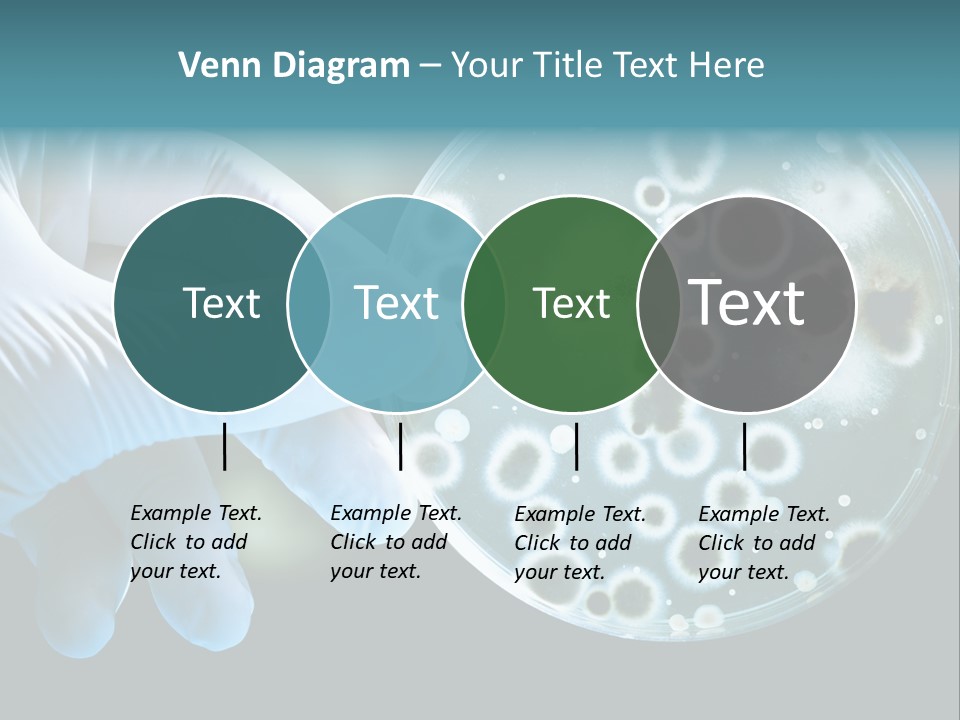 Laboratory Organism Medicine PowerPoint Template