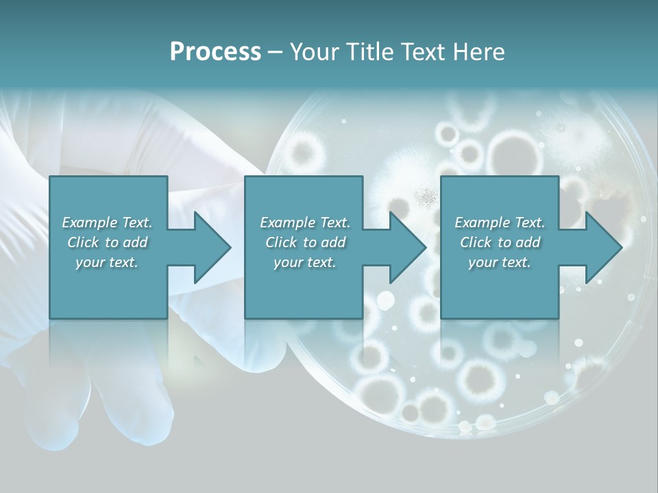 Laboratory Organism Medicine PowerPoint Template