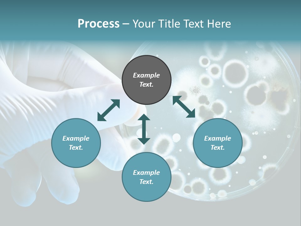 Laboratory Organism Medicine PowerPoint Template