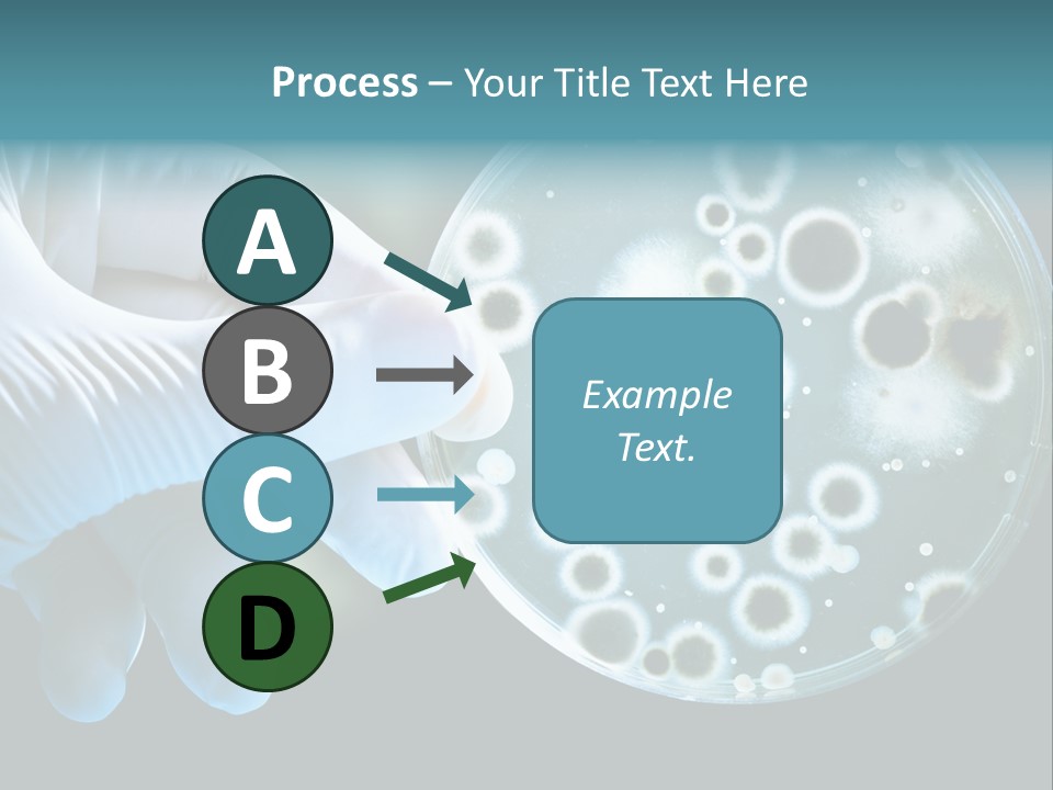 Laboratory Organism Medicine PowerPoint Template