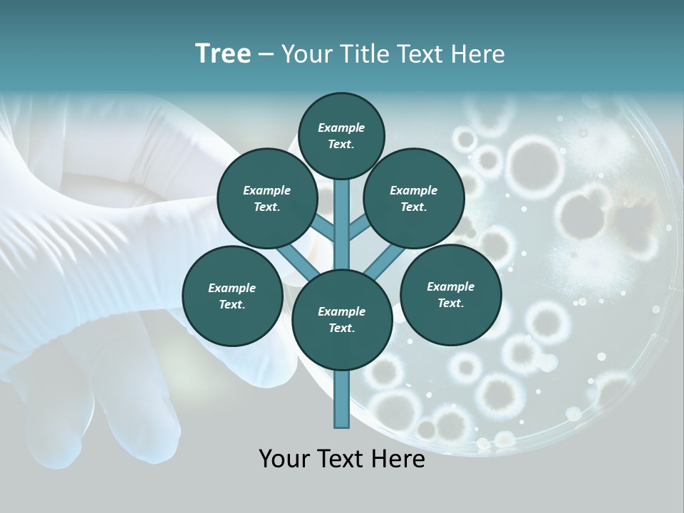 Laboratory Organism Medicine PowerPoint Template