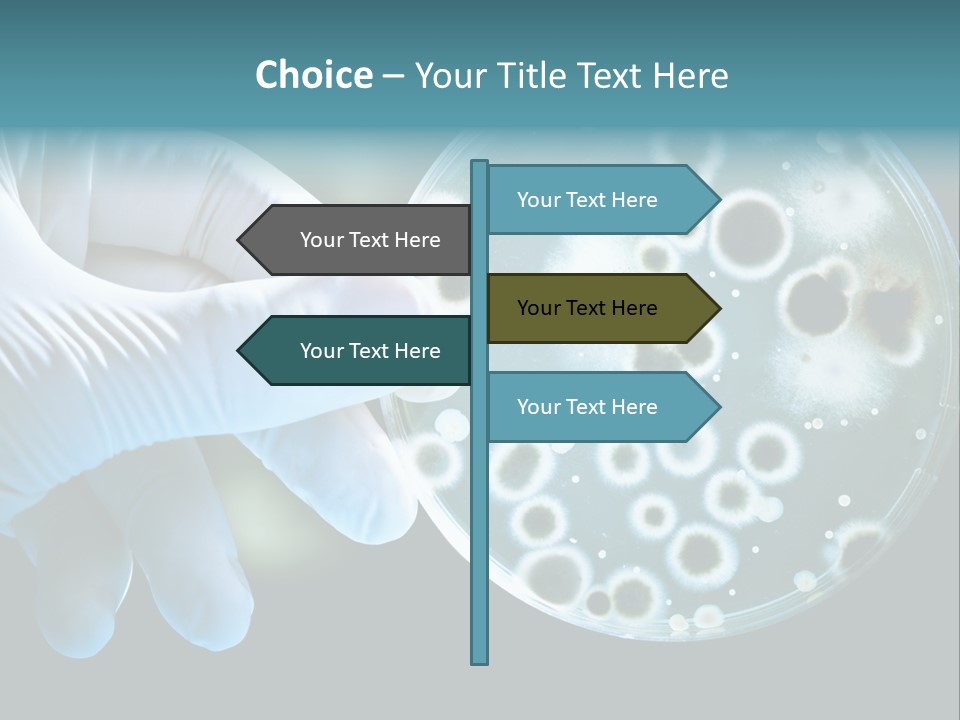 Laboratory Organism Medicine PowerPoint Template