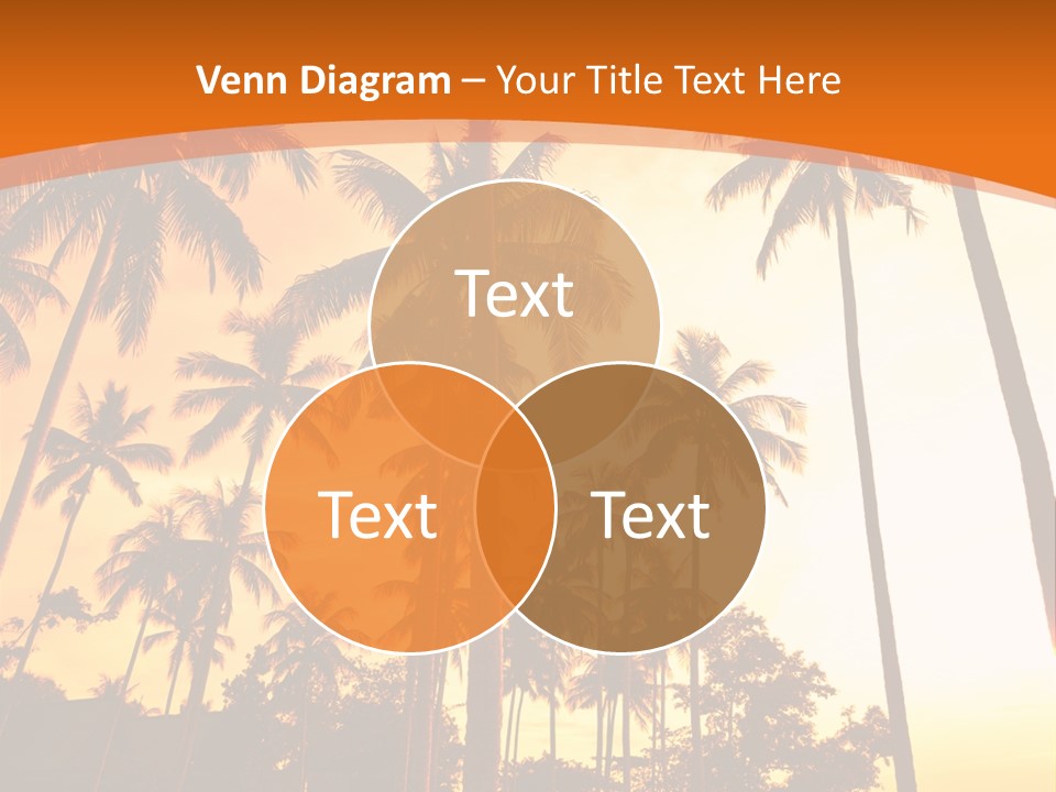 Beach Sunlight Evening PowerPoint Template
