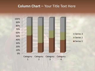 Outdoor Life Ecology PowerPoint Template