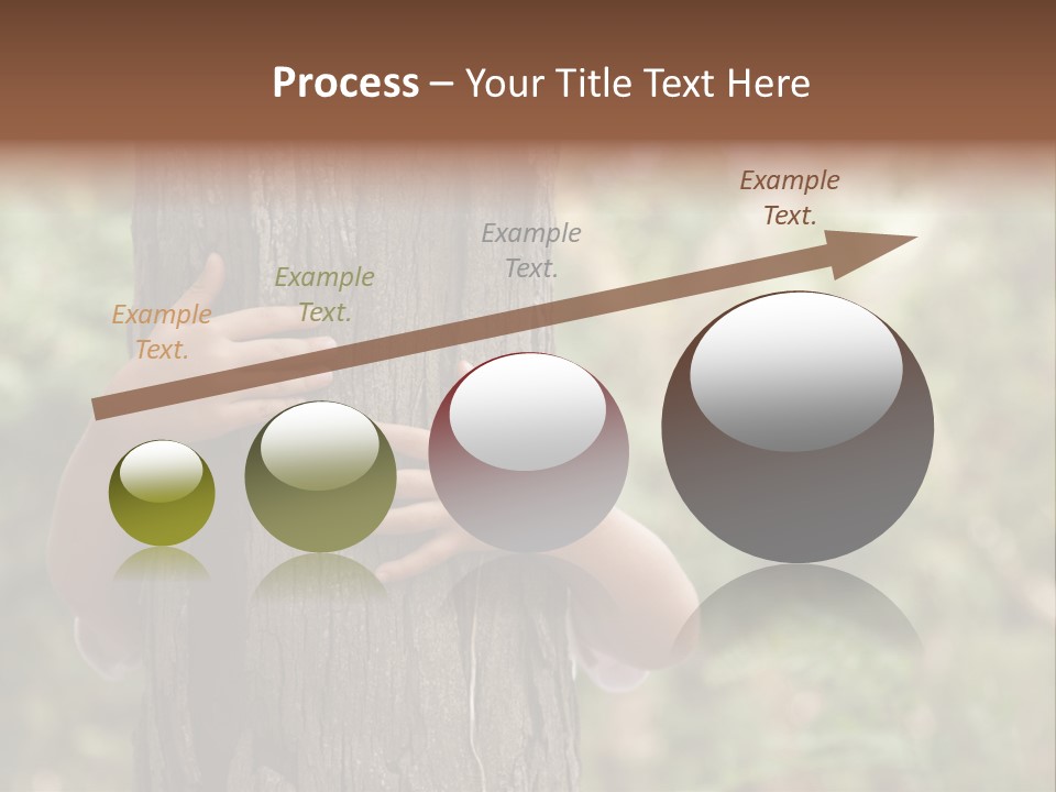 Outdoor Life Ecology PowerPoint Template