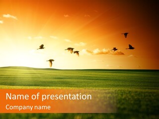 Slide Themes PowerPoint Template