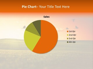 Slide Themes PowerPoint Template