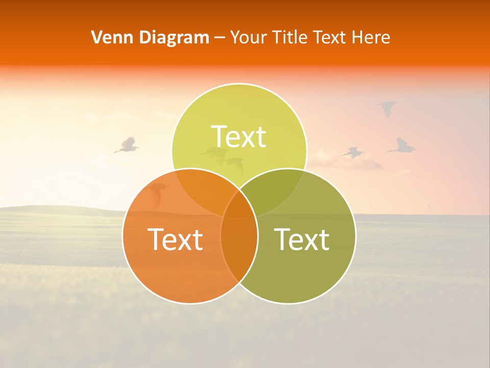 Slide Themes PowerPoint Template