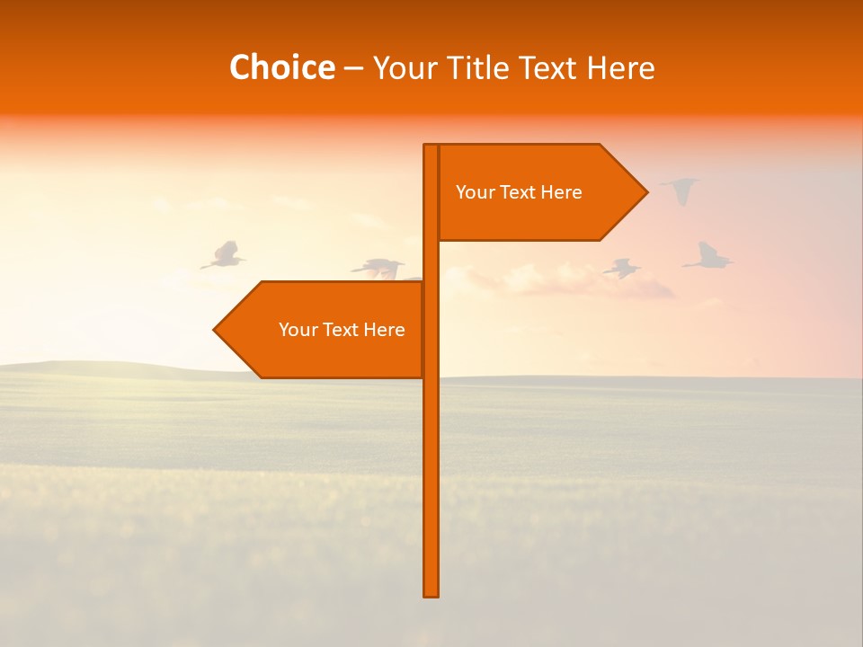 Slide Themes PowerPoint Template