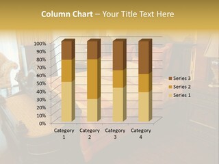 Lamps Curtains Distinguished PowerPoint Template