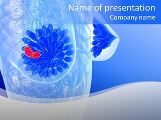 Illustration Gland Organs PowerPoint Template