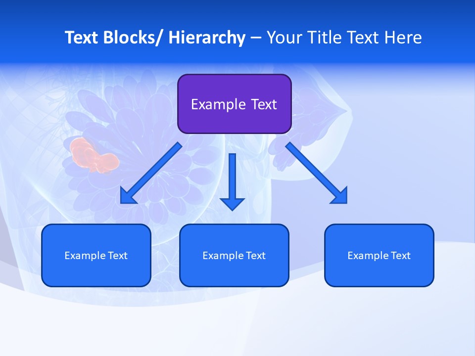 Illustration Gland Organs PowerPoint Template