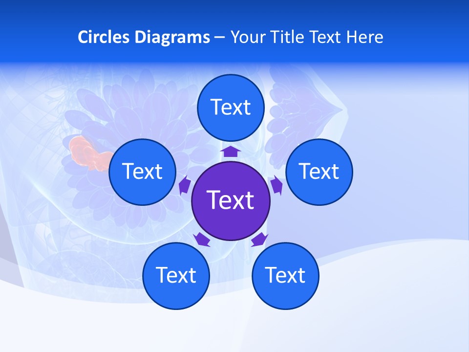 Illustration Gland Organs PowerPoint Template