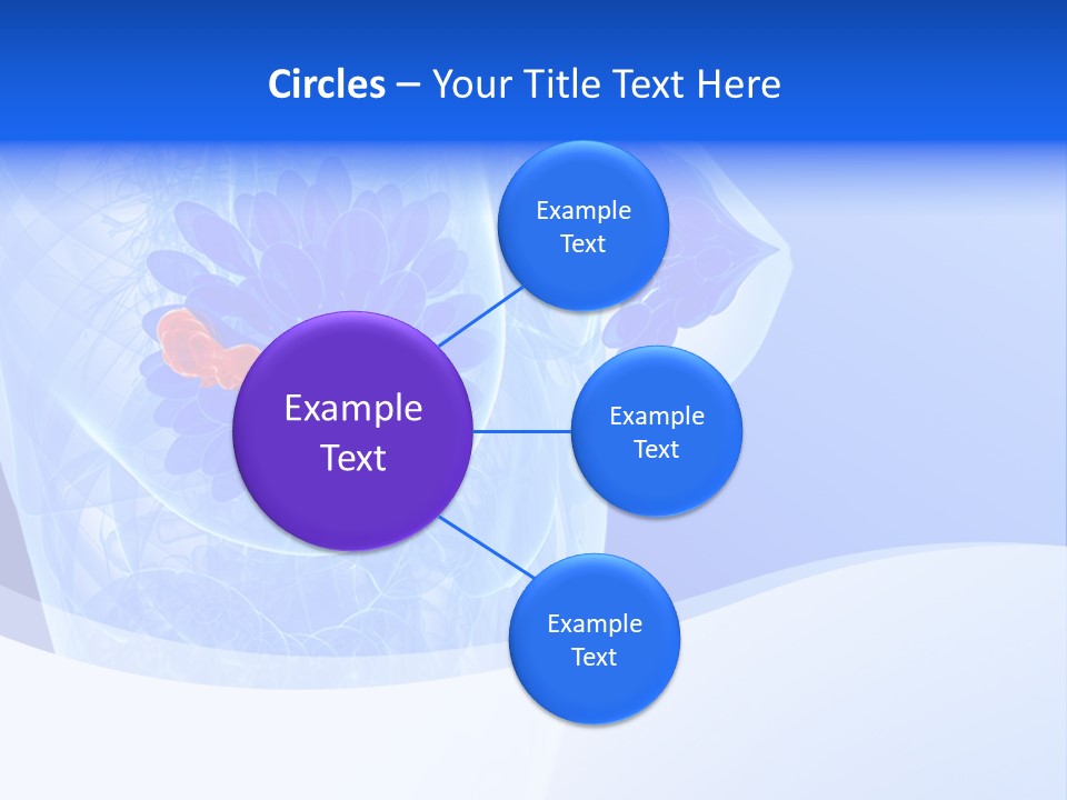 Illustration Gland Organs PowerPoint Template