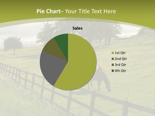 Meadow Prairie Pasture PowerPoint Template