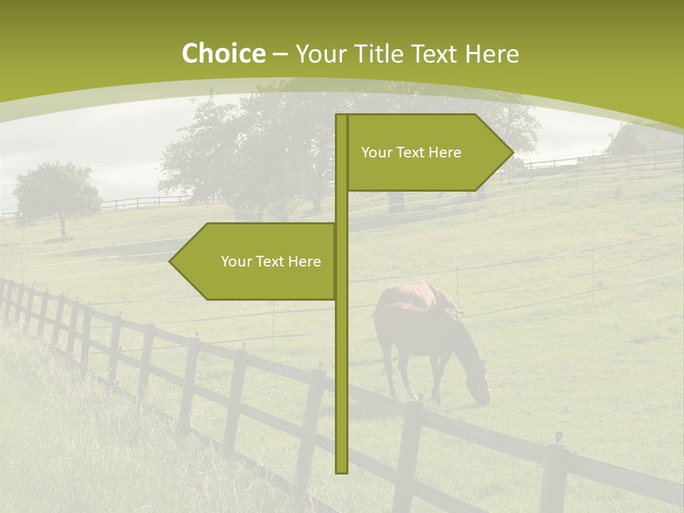 Meadow Prairie Pasture PowerPoint Template