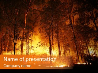 Fire Forest Hot PowerPoint Template