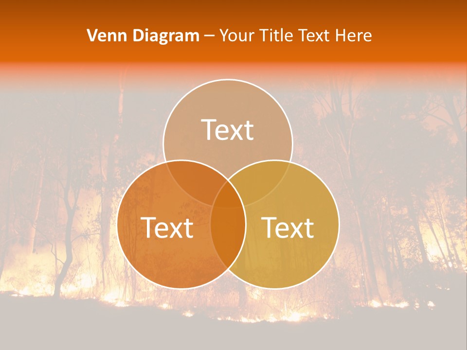 Fire Forest Hot PowerPoint Template