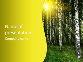 Foliage Tranquil Color PowerPoint Template