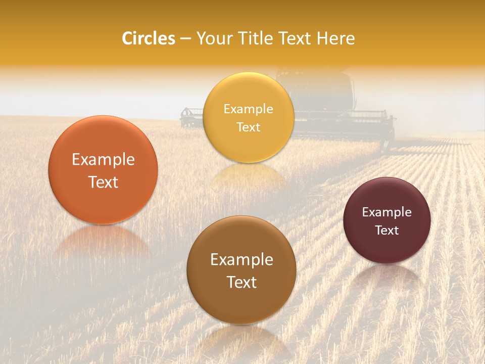 Landscape Crop Stem PowerPoint Template