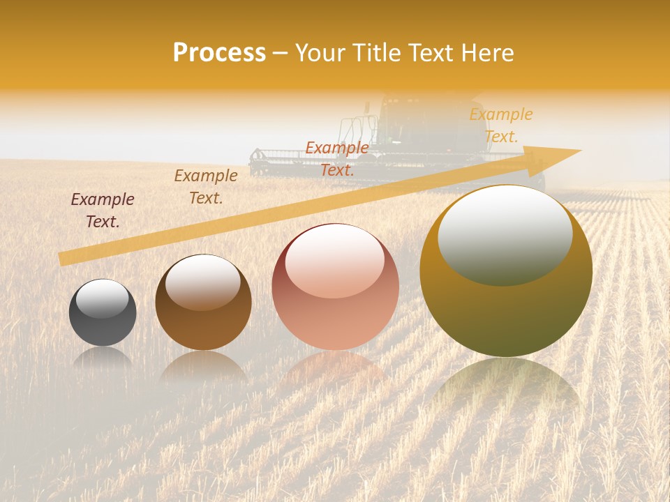 Landscape Crop Stem PowerPoint Template