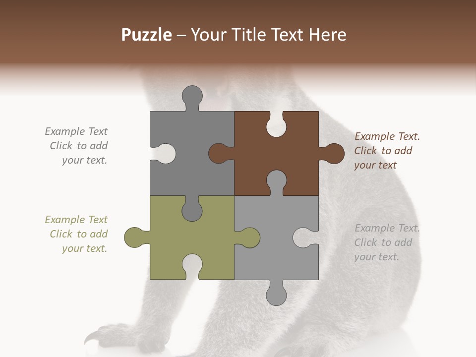 Phascolarctos Square Image Cut Out PowerPoint Template