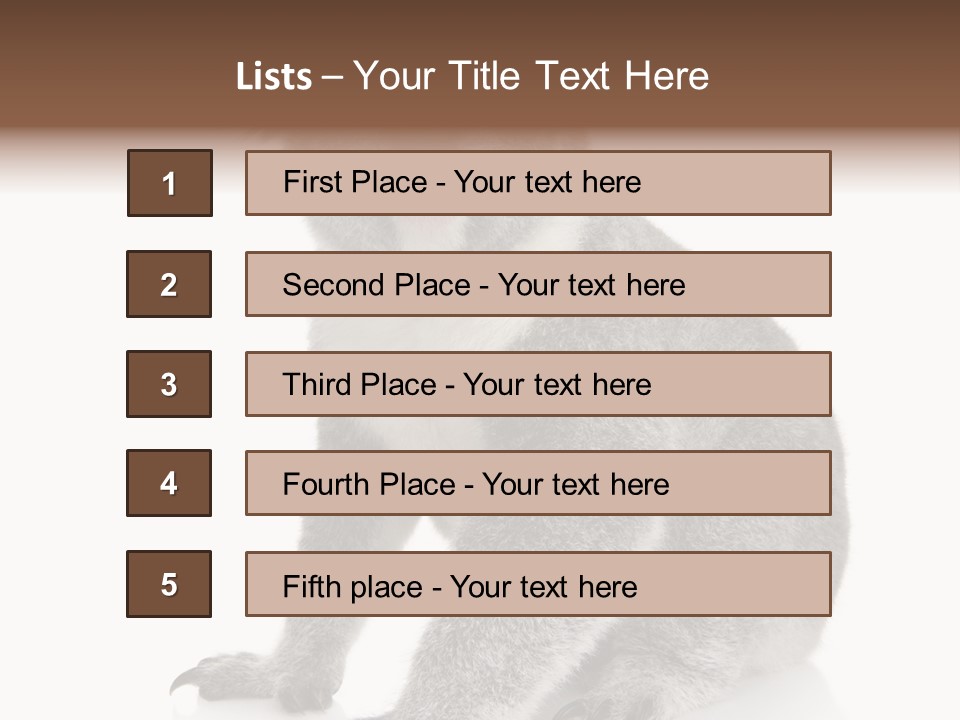 Phascolarctos Square Image Cut Out PowerPoint Template