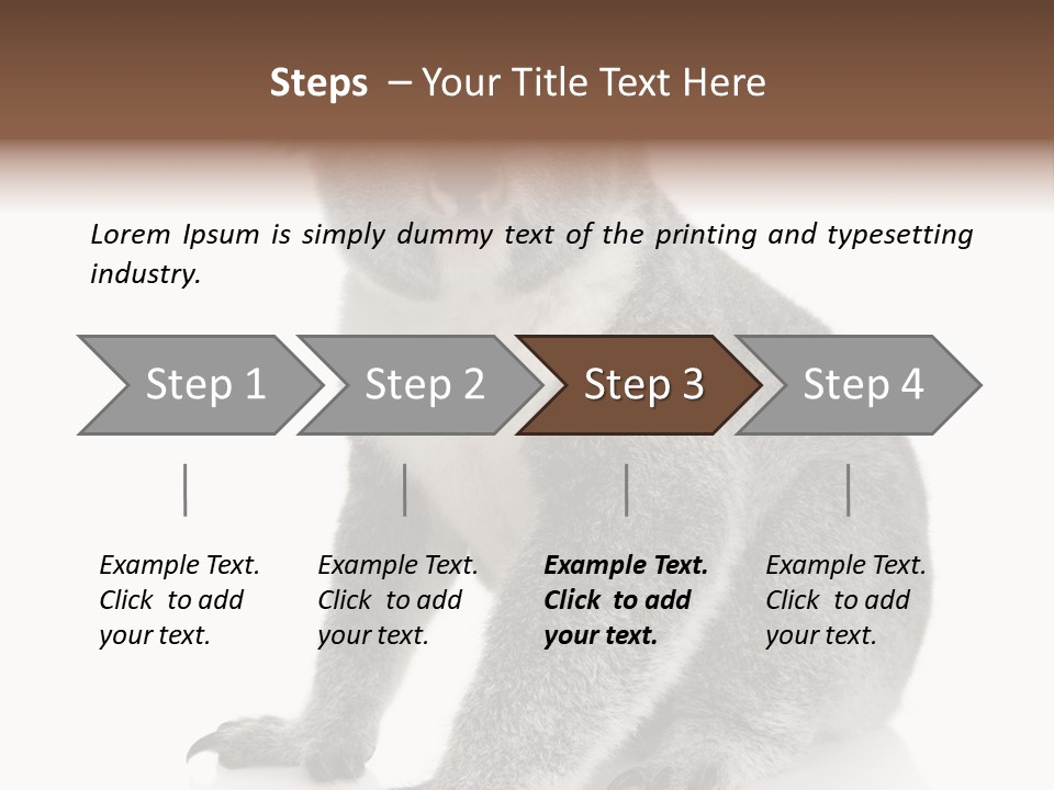 Phascolarctos Square Image Cut Out PowerPoint Template