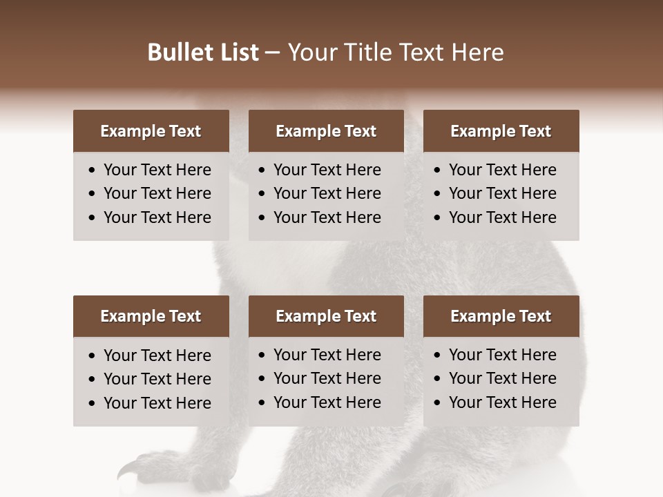 Phascolarctos Square Image Cut Out PowerPoint Template