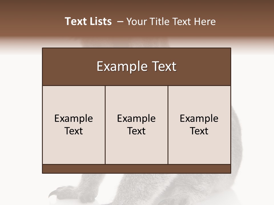 Phascolarctos Square Image Cut Out PowerPoint Template