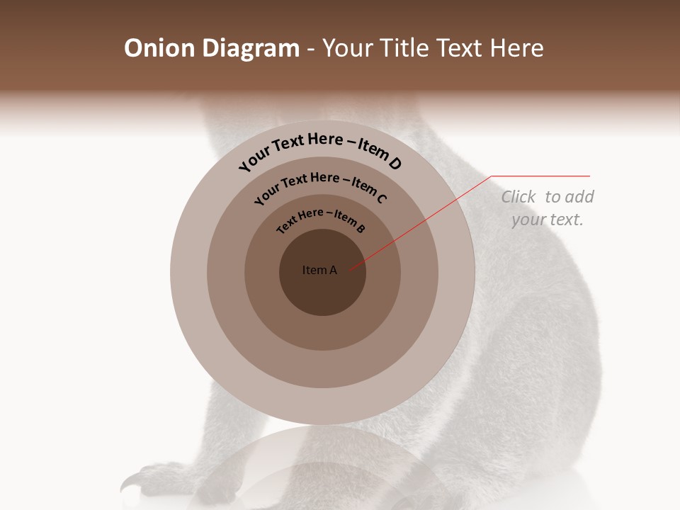 Phascolarctos Square Image Cut Out PowerPoint Template