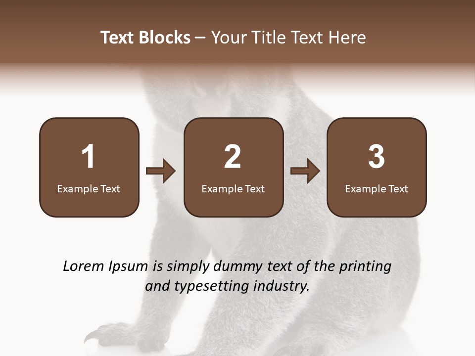 Phascolarctos Square Image Cut Out PowerPoint Template