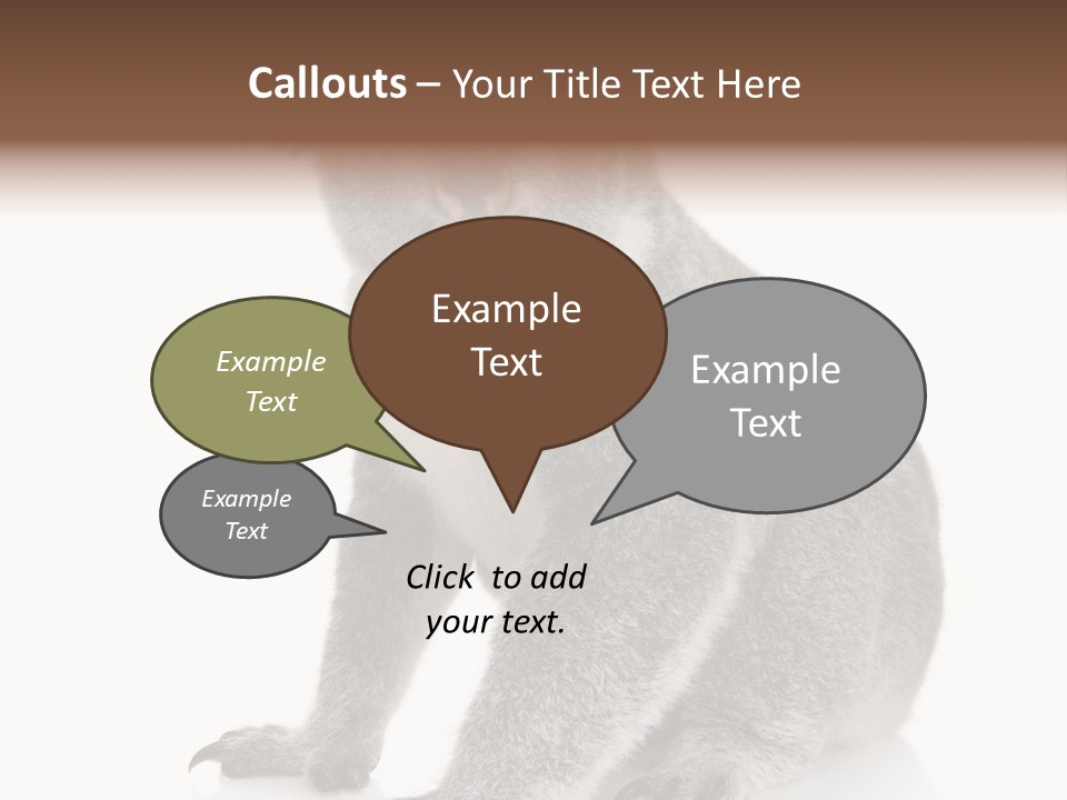 Phascolarctos Square Image Cut Out PowerPoint Template