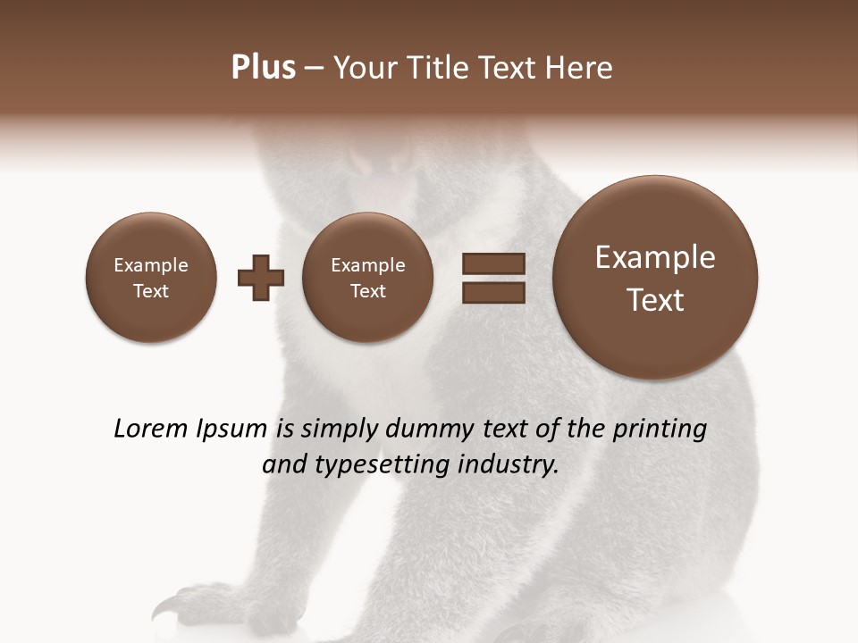 Phascolarctos Square Image Cut Out PowerPoint Template