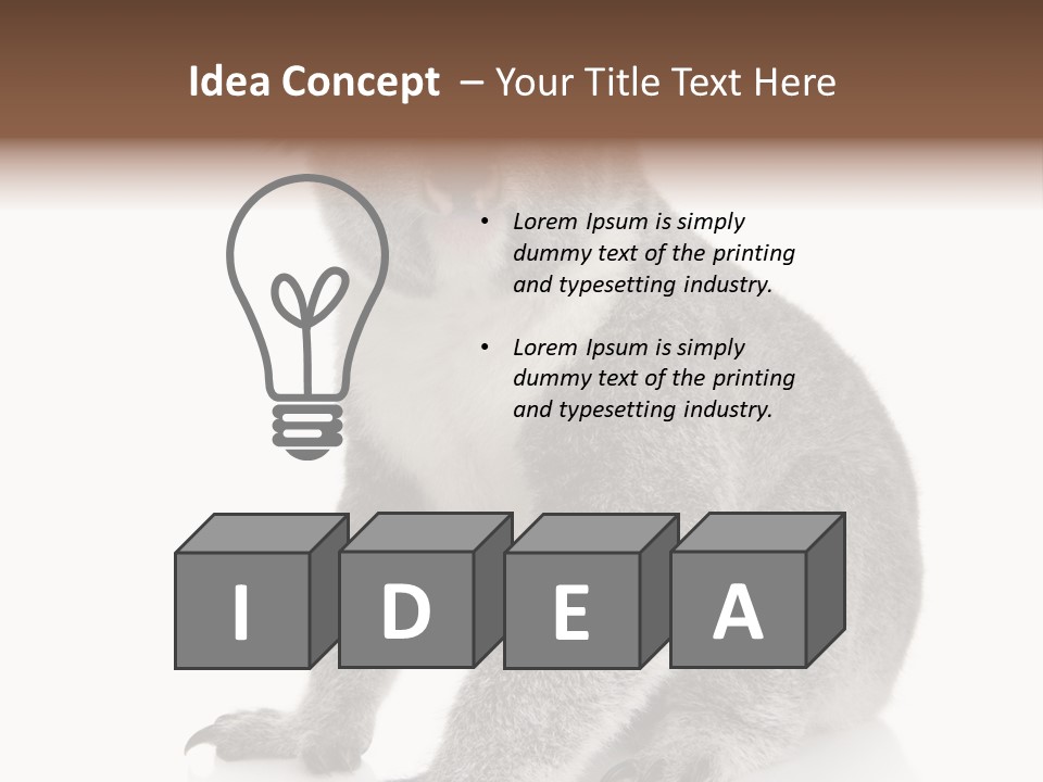 Phascolarctos Square Image Cut Out PowerPoint Template