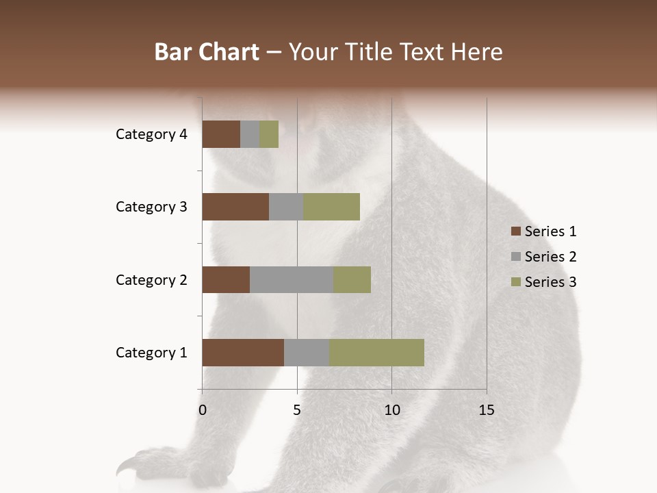 Phascolarctos Square Image Cut Out PowerPoint Template