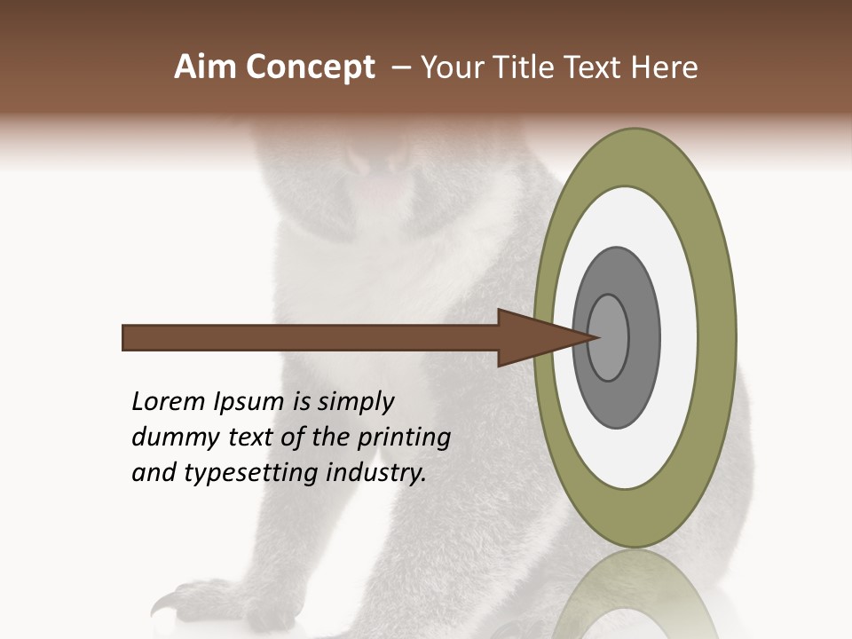 Phascolarctos Square Image Cut Out PowerPoint Template