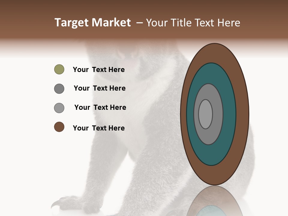 Phascolarctos Square Image Cut Out PowerPoint Template