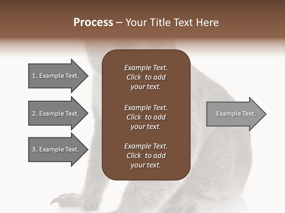 Phascolarctos Square Image Cut Out PowerPoint Template