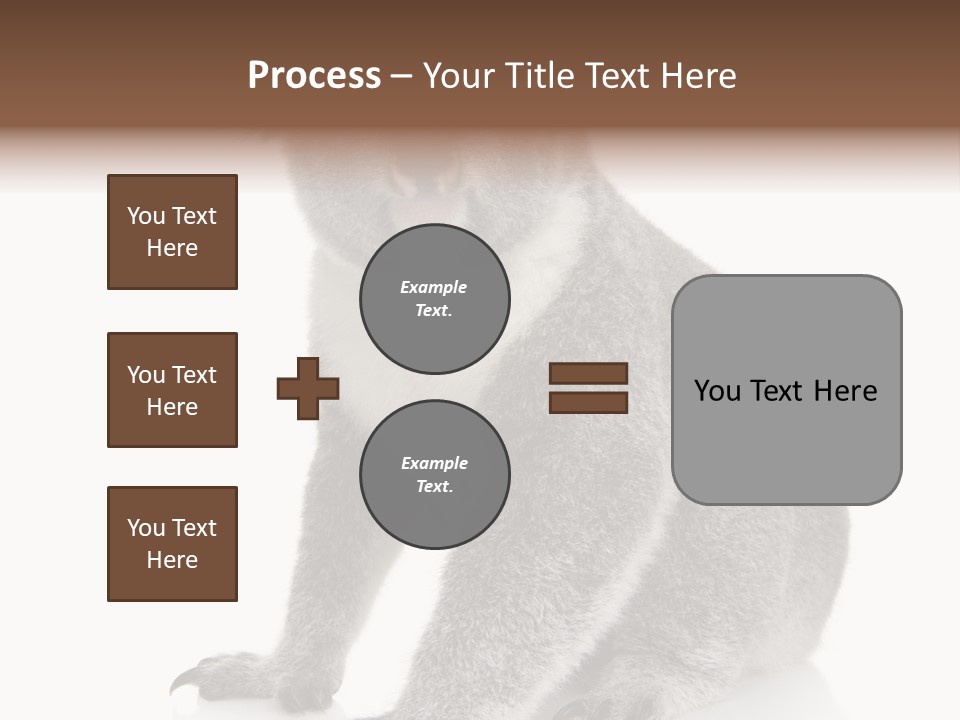 Phascolarctos Square Image Cut Out PowerPoint Template