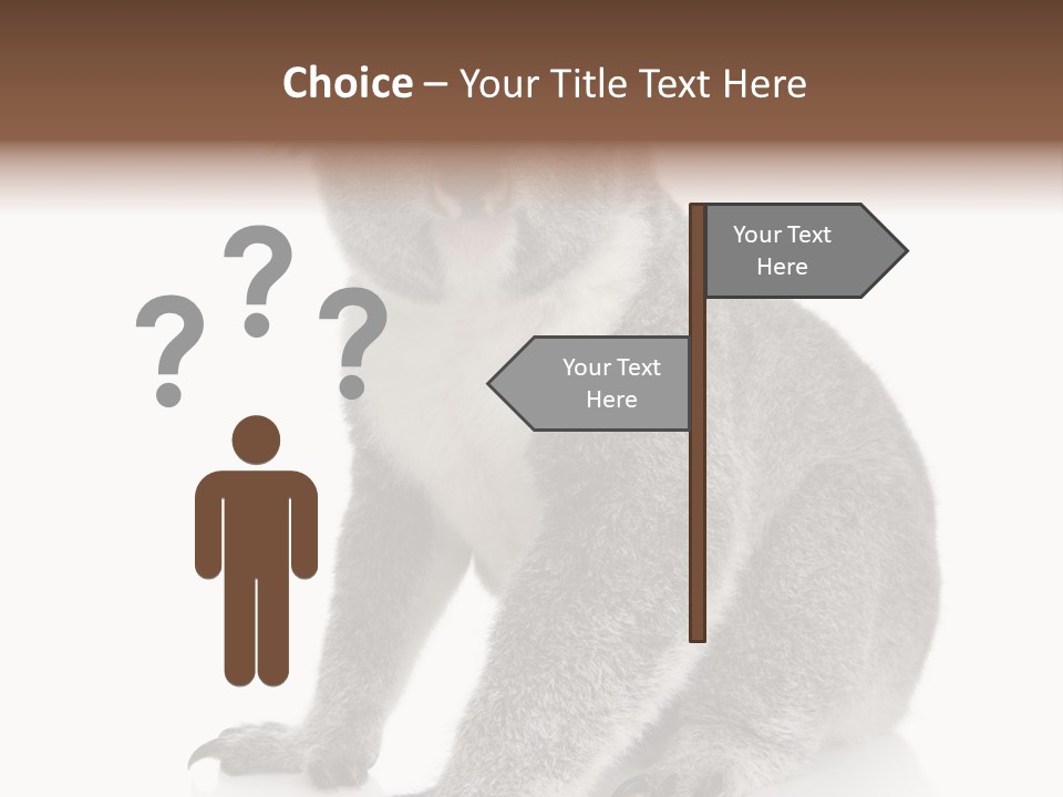 Phascolarctos Square Image Cut Out PowerPoint Template